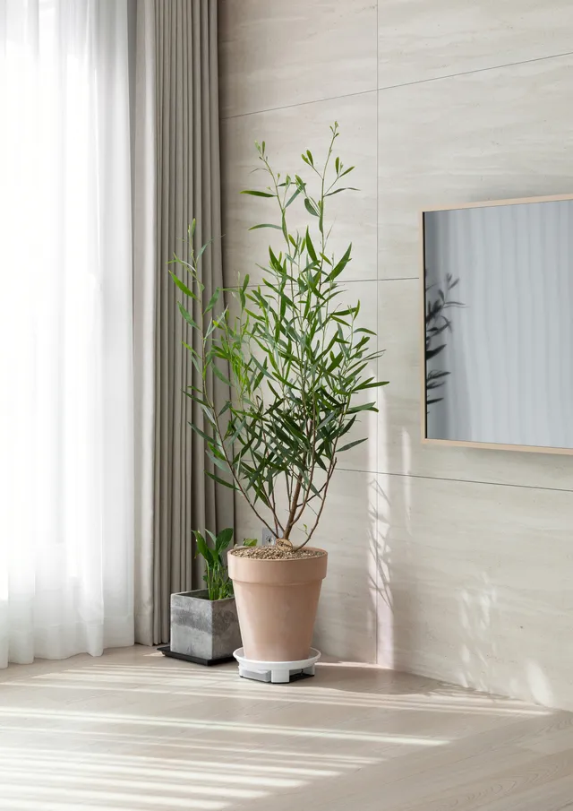 단정하고 깔끔한 화이트 우드, 디에이치 포레센트 홈스타일링